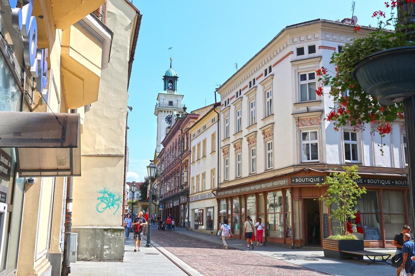 Cieszynski Boutique Hotel & Spa Stare Miasto Cieszyn Цешин Екстер'єр фото